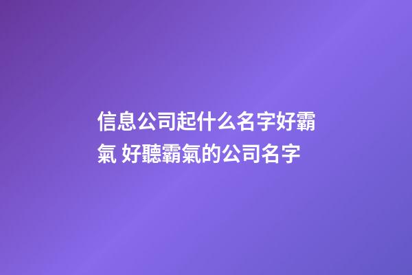 信息公司起什么名字好霸氣 好聽霸氣的公司名字-第1張-公司起名-玄機派